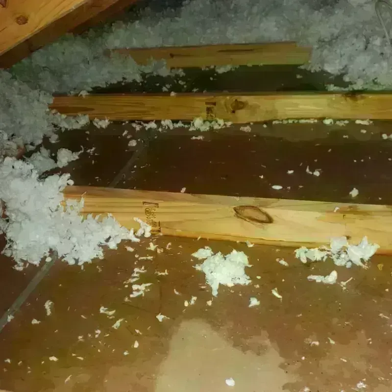 Attic Water Damage in Dixon County, NE