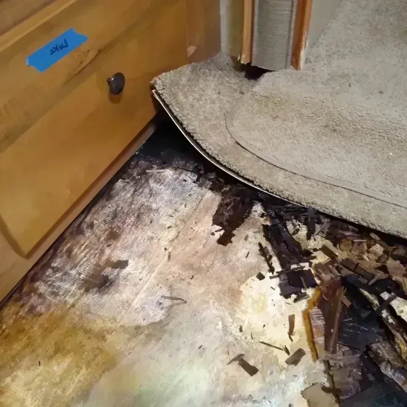 Wood Floor Water Damage in Dixon County, NE